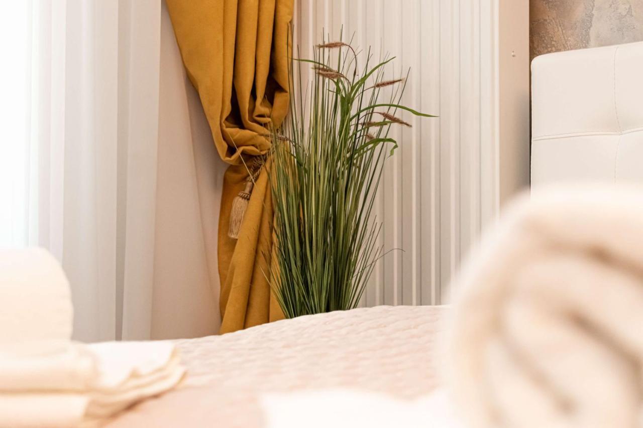 Royal Apartment Brašov Exteriér fotografie
